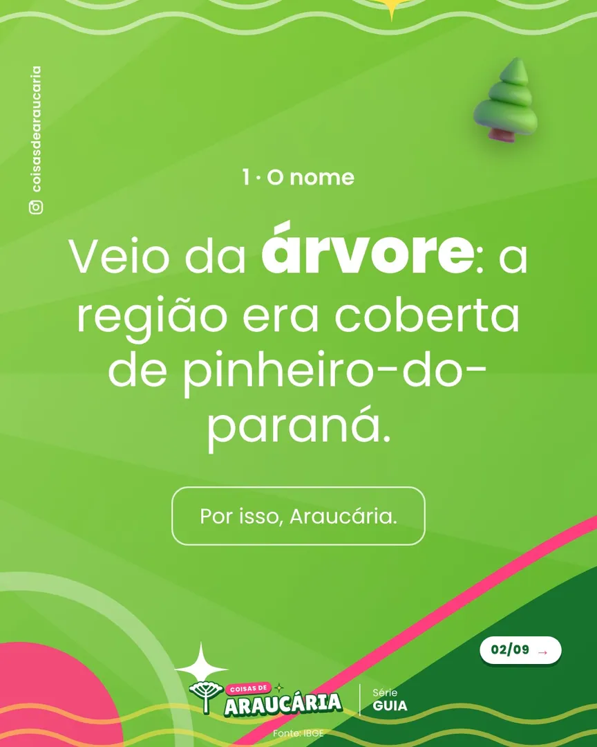 Lâmina 2 de 9