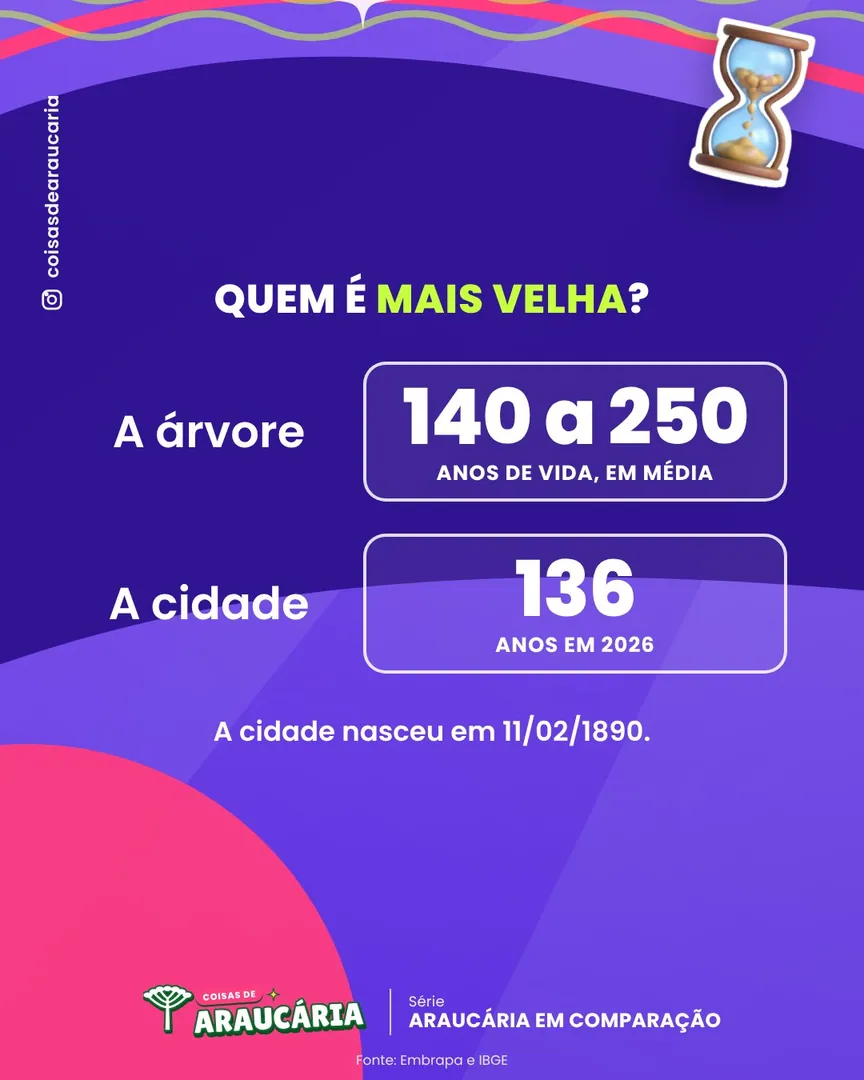 Uma araucária pode viver mais do que Araucária existe como cidade.